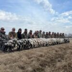 Turnt Up, Updates Dec 2025 4